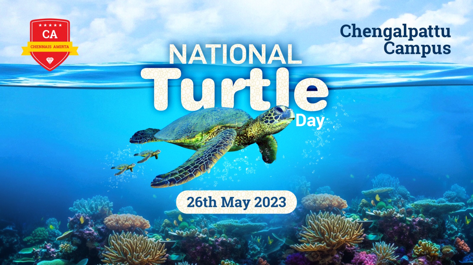 National Turtle Day