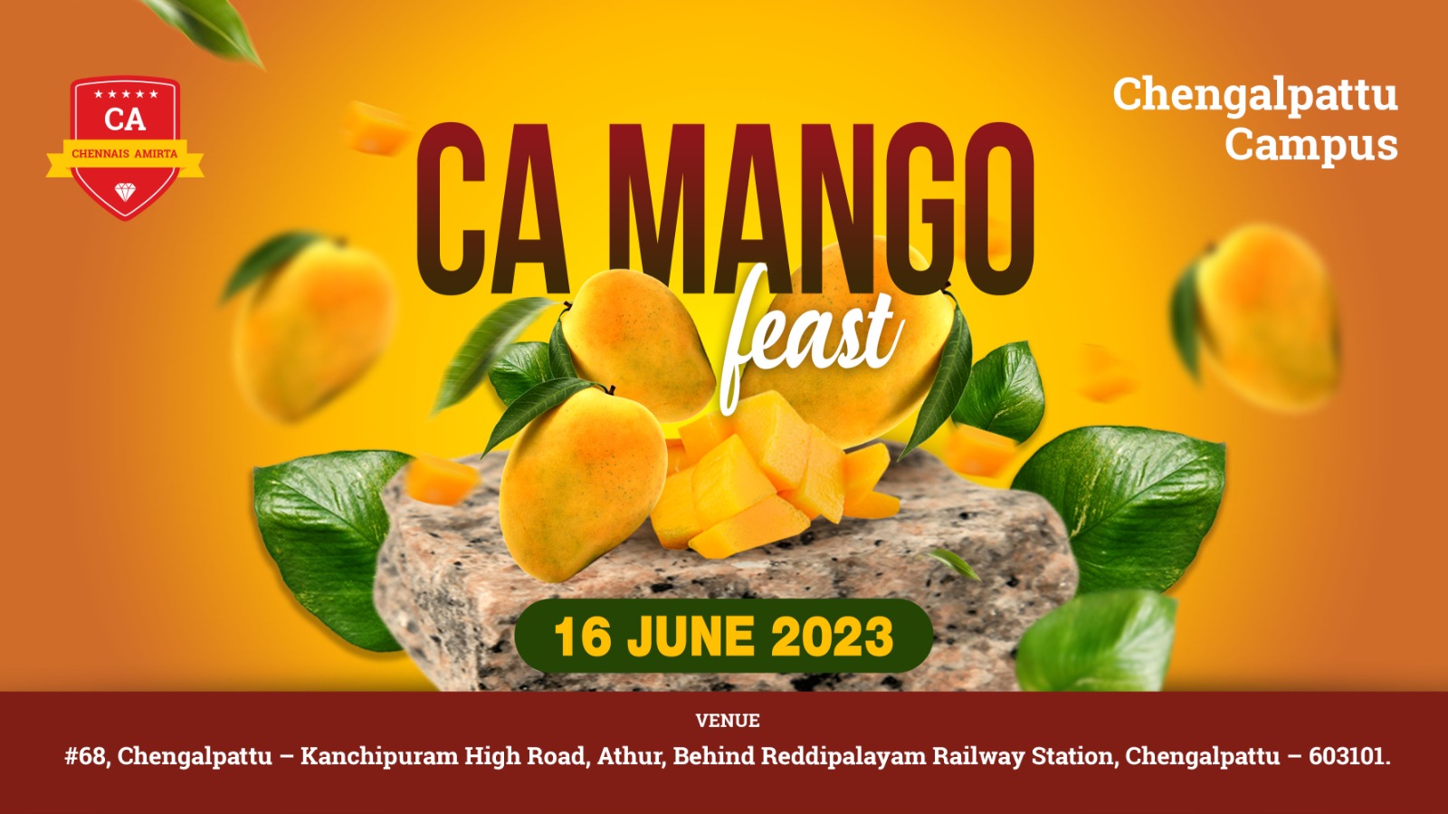 CA MANGO Feast